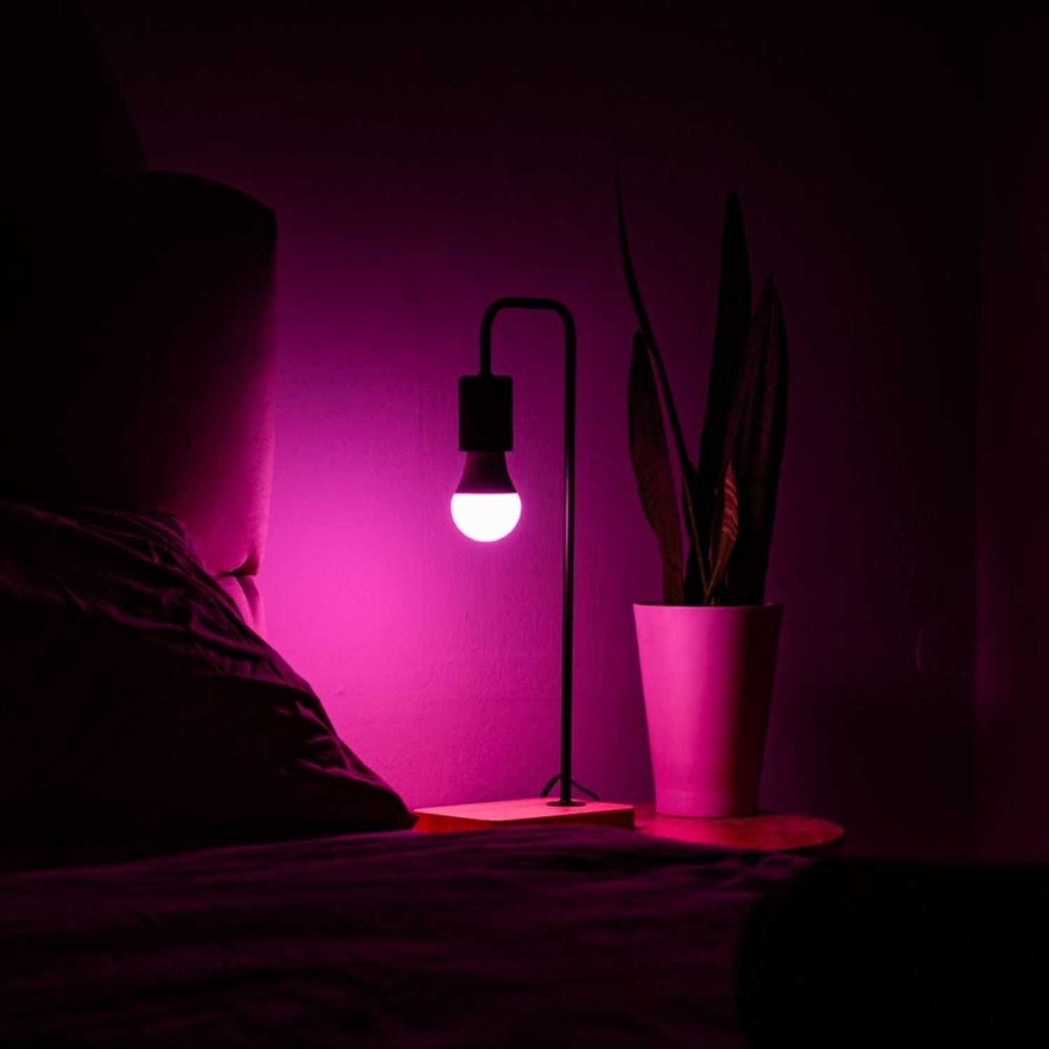 Shelly Multicolor Bulb E27 Gen3 – LED Lampe – dimmbar – Messfunktion – WLAN – BT – Produktansicht 3