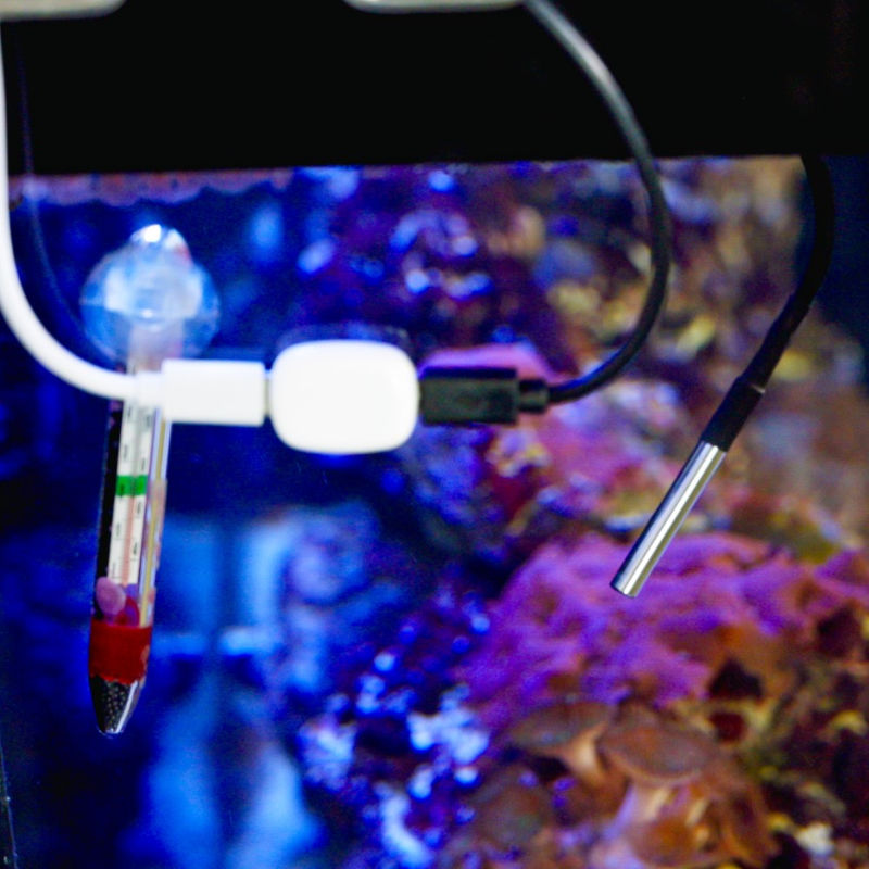 Shelly – The Pill – Temperatursensor DS18B20 3,5 mm Jack 1m Kabel – Produktansicht 3